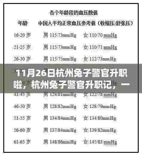 杭州兔子警官升职记,一次特别的里程碑事件庆祝升职庆典