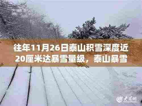 泰山暴雪现象揭秘，积雪深度争议与启示，近20厘米雪量的影响与反思