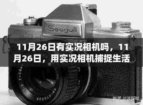 11月26日实况相机记录生活变迁,自信与成就感的成长之旅