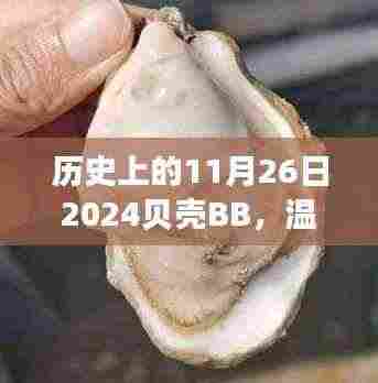 历史上的11月26日,贝壳BB的特别一天,温馨时光回顾