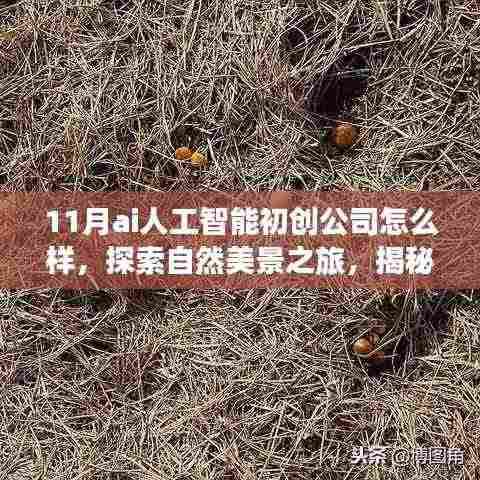 揭秘十一月AI人工智能初创公司的奇妙探索,与自然美景同行,追寻内心宁静与平和的旅程