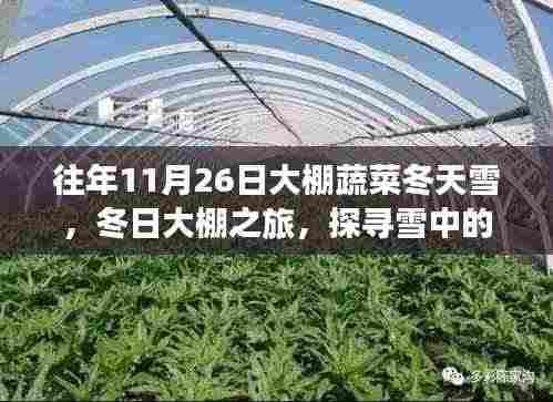 联系我们 第376页