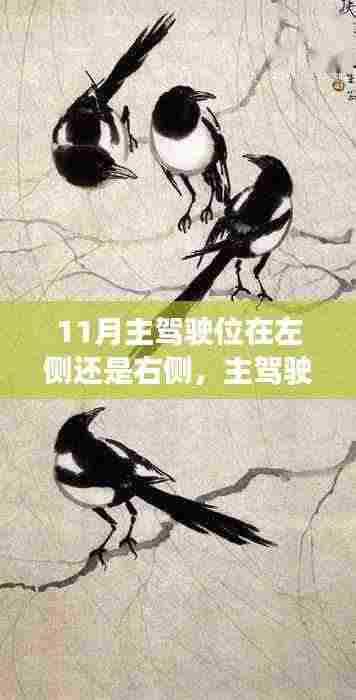 驾驭未知,揭秘主驾驶位在左侧还是右侧?自信闪耀人生路探索之旅(11月)