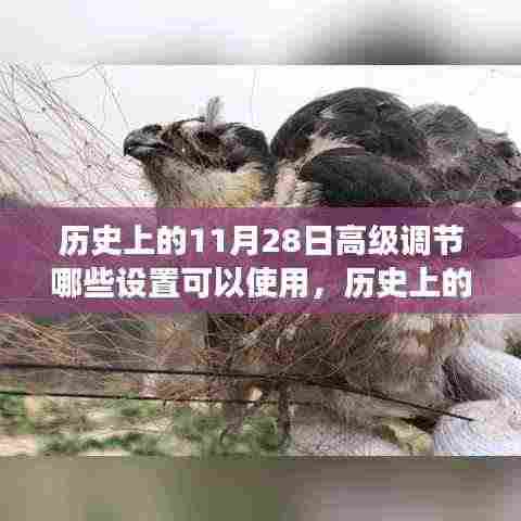 运输网络 第361页