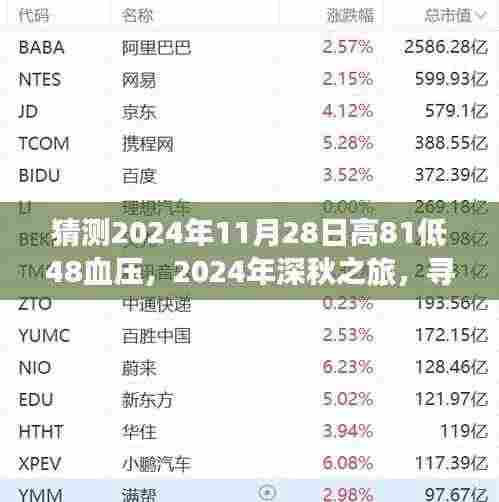寻找血压与心灵的平衡点,深秋之旅预测与体验,高81低48血压的启示(2024年11月28日)