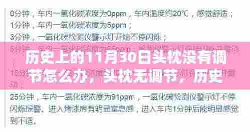 历史上的头枕调节问题,如何应对无调节头枕与黯淡的11月30日时光?