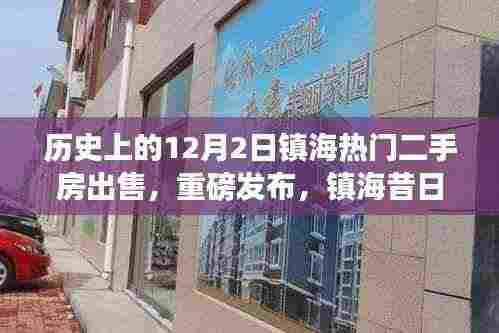 镇海热门二手房重磅发布,昔日盛景再现,智能交易系统革新体验日来袭