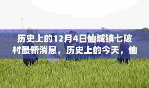 历史上的今天,仙城镇七陂村的新篇章与自信铸就之路