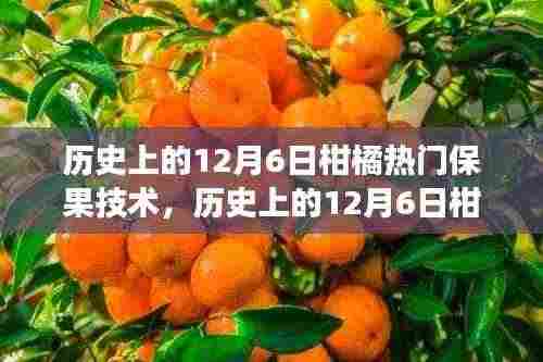 历史上的12月6日柑橘保果技术探寻之旅,自然美景与内心平静的交融力量
