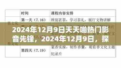 探索热门影音先锋，无限娱乐魅力尽在2024年12月9日