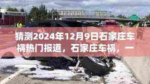 石家庄车祸事件揭示时代变迁与公众关注焦点,一起事故引发深度思考