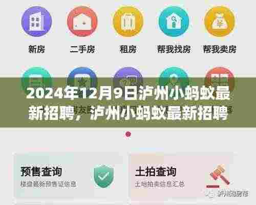 泸州小蚂蚁最新招聘现象观察与思考,职场趋势与启示(以2024年为例)