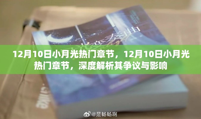 深度解析,小月光热门章节争议与影响
