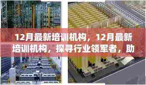 探寻行业领军培训机构,助力个人成长之路(12月最新更新)