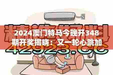 2024澳门特马今晚开348期开奖揭晓：又一轮心跳加速的时刻