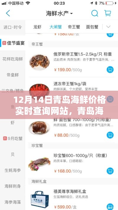 青岛海鲜价格实时查询网站使用指南(初学者与进阶用户适用,12月14日更新)