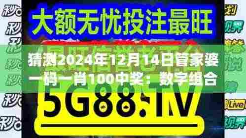 猜测2024年12月14日管家婆一码一肖100中奖:数字组合的微妙技巧