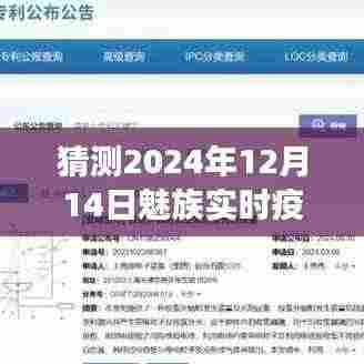 魅族实时疫情风云,回望与洞察2024年12月14日