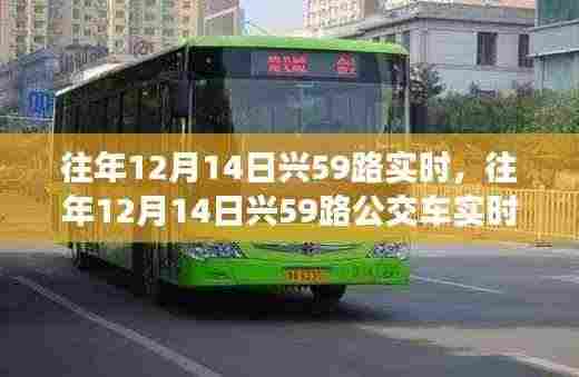 往年12月14日兴59路公交车实时运营回顾与概览