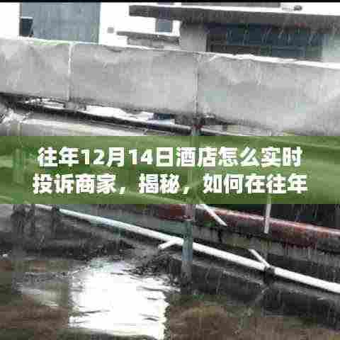 揭秘,如何在往年12月14日实时投诉酒店商家,打造优质消费体验攻略