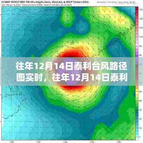 深度解析与经验分享,历年12月14日泰利台风路径实时图解析及分享经验