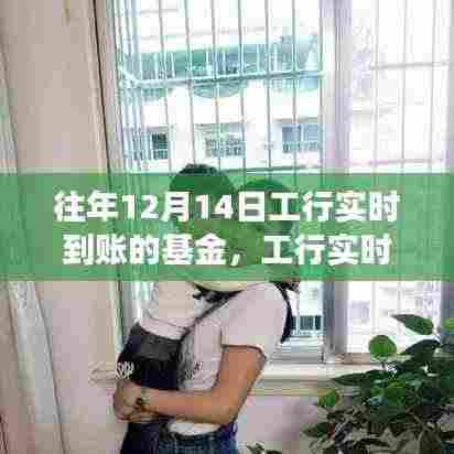 工行实时到账基金,学习变化的力量,筑梦成就之路