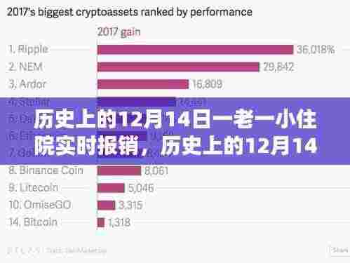 历史上的12月14日,一老一小住院实时报销产品深度评测与实时报销体验概述