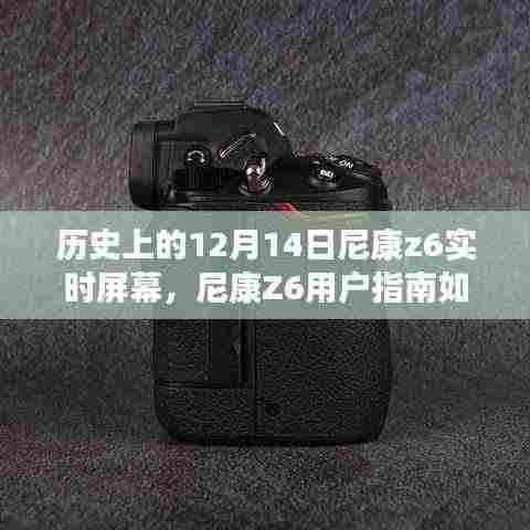 历史上的十二月十四日,尼康Z6实时屏幕功能设置与使用指南