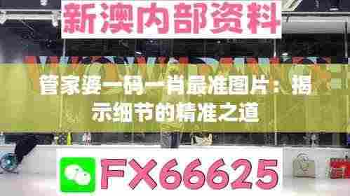 管家婆一码一肖最准图片:揭示细节的精准之道