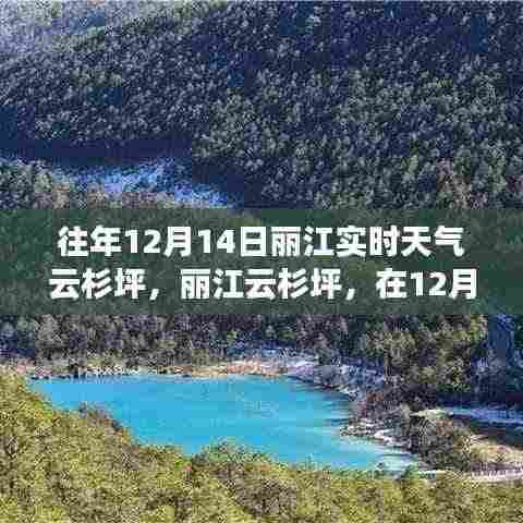 丽江云杉坪，寻找内心的宁静与自然魔法的秘密之旅（往年12月14日实时天气）