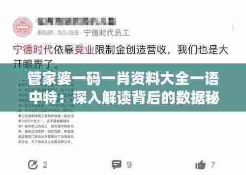 管家婆一码一肖资料大全一语中特:深入解读背后的数据秘密与彩票趋势