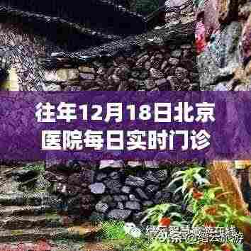 探秘北京医院12月18日门诊量的背后故事,小巷深处的医疗秘境揭秘