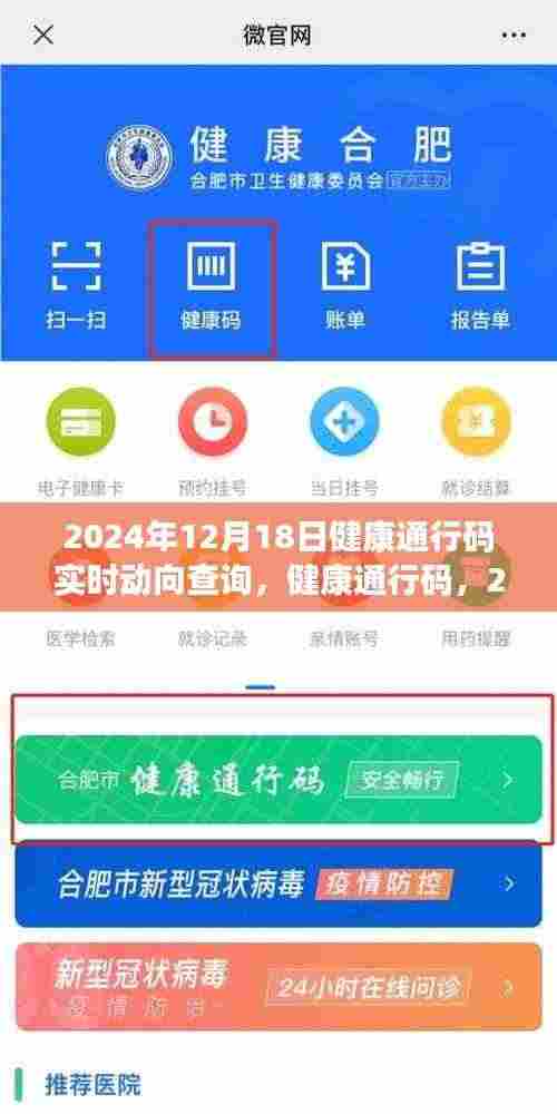 2024年12月18日健康通行码实时动向查询,影响深远,健康生活新动向
