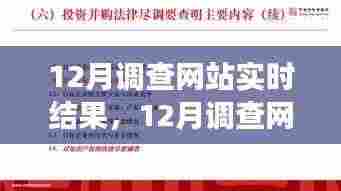 12月调查网站实时结果深度解析，背景、进展与影响全解析