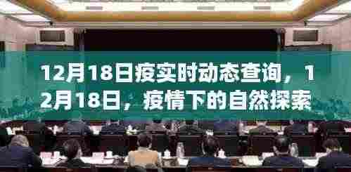 12月18日疫情下的自然探索之旅,寻找内心的宁静与远方美景的实时动态