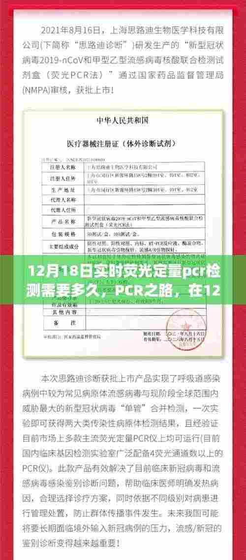 见证变化的力量与时间的魔法,实时荧光定量PCR检测之路在12月18日的探索之旅
