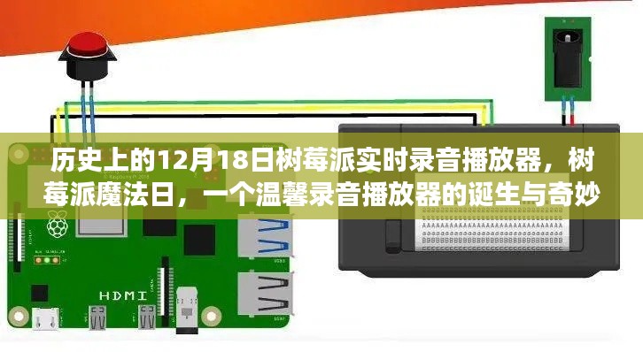 树莓派魔法日,实时录音播放器的诞生与温馨旅程