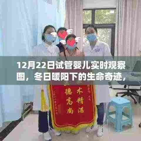 冬日暖阳下的生命奇迹,试管婴儿实时观察与爱的传递