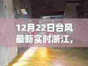 浙江遭遇猛烈台风袭击,最新实时动态与深远影响(12月22日更新)