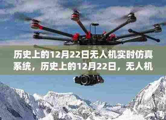 无人机实时仿真系统,诞生与演变历程回顾