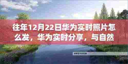 华为实时分享，与自然美景的邂逅，探索宁静之旅的实时照片分享之道