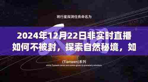 探索自然秘境的心灵之旅,非实时直播如何避免封禁,开启心灵之旅