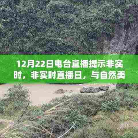 非实时直播日,与自然美景的邂逅之旅