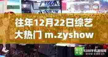 逆风翱翔，综艺大热门与人生的变化力量引领前行之路