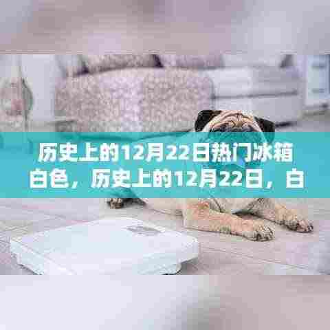 历史上的12月22日,白色冰箱的热潮及其影响回顾