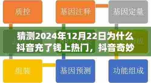 揭秘抖音奇妙日，小杰的热门梦想与暖心陪伴背后的秘密，为何充值就能上热门？