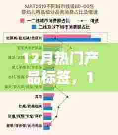 12月热门产品标签深度解析,市场洞察与策略布局