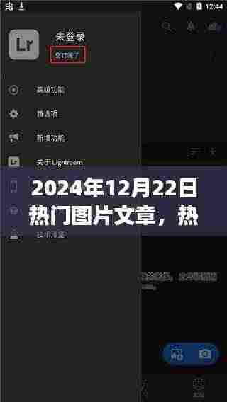 2024年12月22日热门图片文章深度解析，图片在信息传播中的影响力与观点探讨
