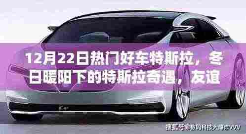 冬日暖阳下的特斯拉奇遇,友谊与爱在特斯拉的传递