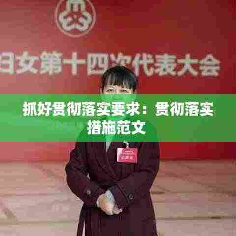 抓好贯彻落实要求：贯彻落实措施范文 